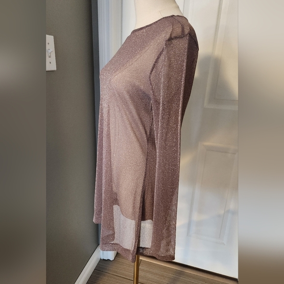 NWOT Victoria Secret Shine Glitter Sheer Long sleeve top - Size Small - Picture 2 of 4